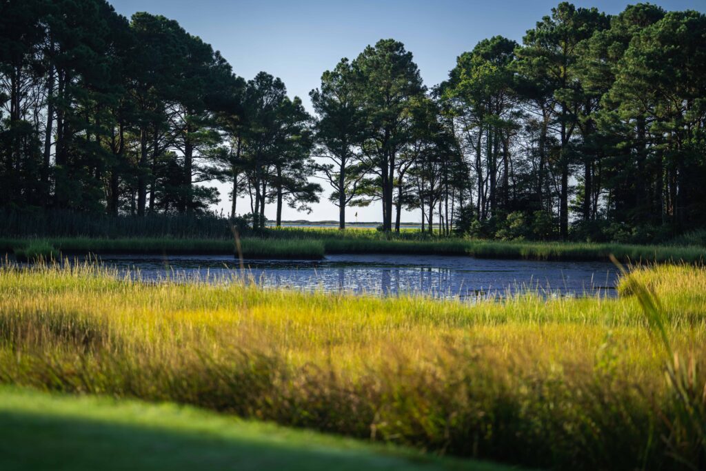 a lake surrounded by tall grass and trees